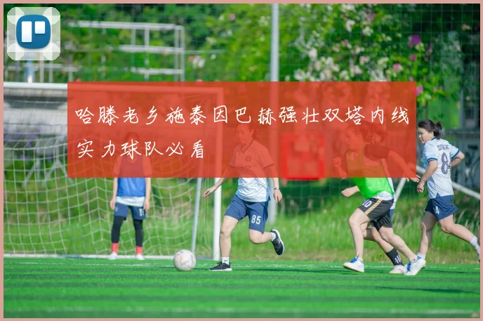 哈滕老乡施泰因巴赫强壮双塔内线实力球队必看